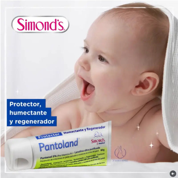 Simond's Pantoland Ungüento Protector 60 Gr