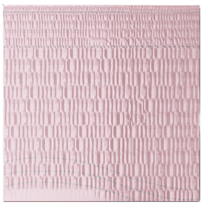 Tena Pants Mujer Ropa Interior Desechable x10 Uni Talla