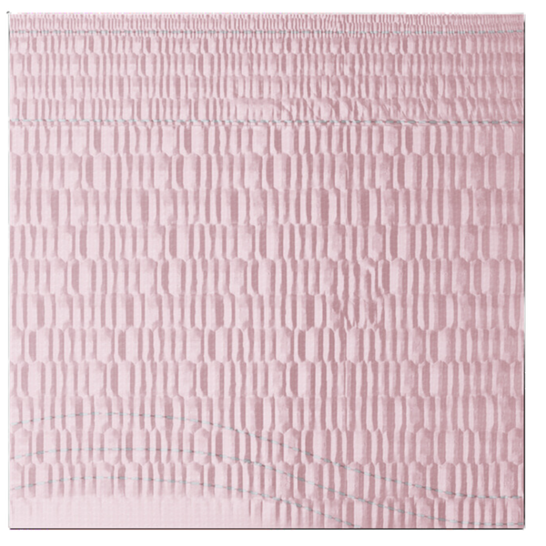 Tena Pants Mujer Ropa Interior Desechable x10 Uni Talla G