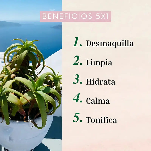 Naturaloe Agua Micelar 250 Ml