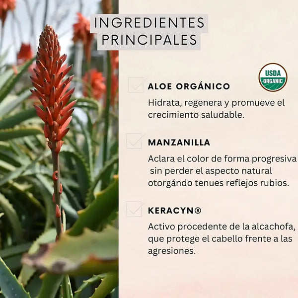 Naturaloe Shampoo + Acondicionador Reflejos Rubios 350ml