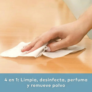 Toallas Húmedas Desinfectantes Teddy 80 Un