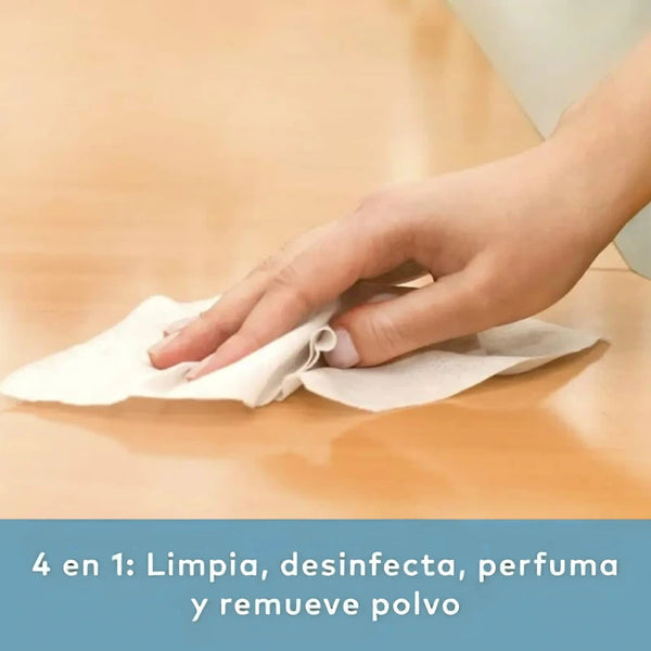 Toallas Húmedas Desinfectantes Teddy 80 Un