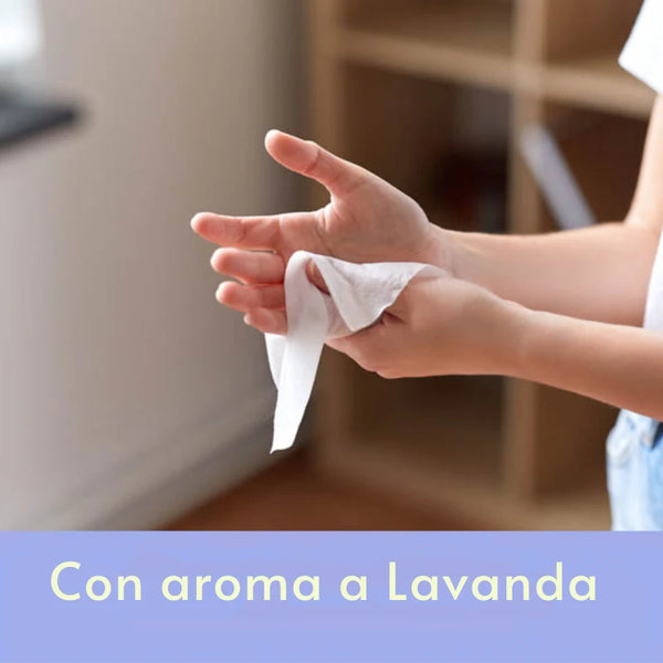 Toallas Húmedas Desinfectantes Teddy 80 Un